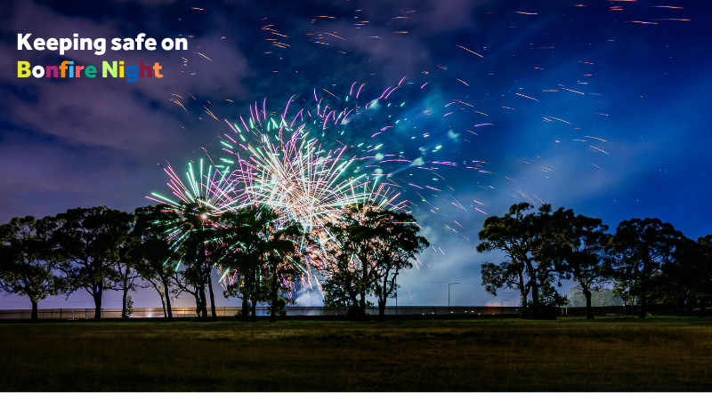 Keeping safe on Bonfire Night: a large field in darkness with trees in the distance lit up with fireworks in the sky.